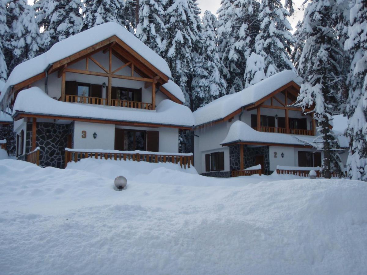 Saint George Holiday Village Borovets Eksteriør billede