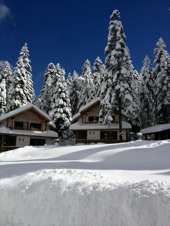 Saint George Holiday Village Borovets Eksteriør billede
