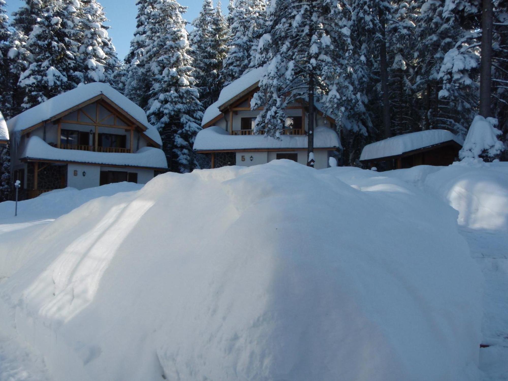Saint George Holiday Village Borovets Eksteriør billede