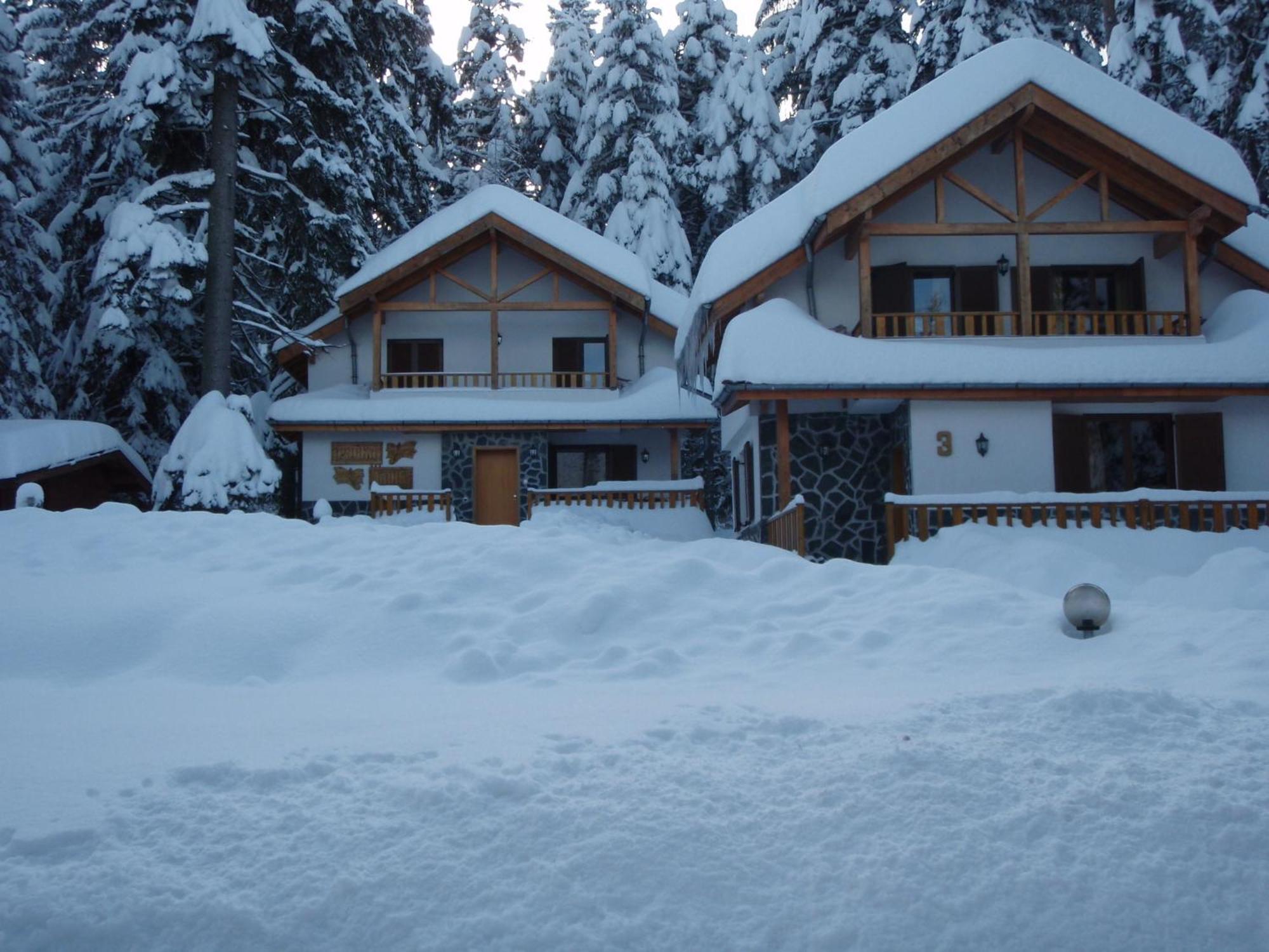 Saint George Holiday Village Borovets Eksteriør billede