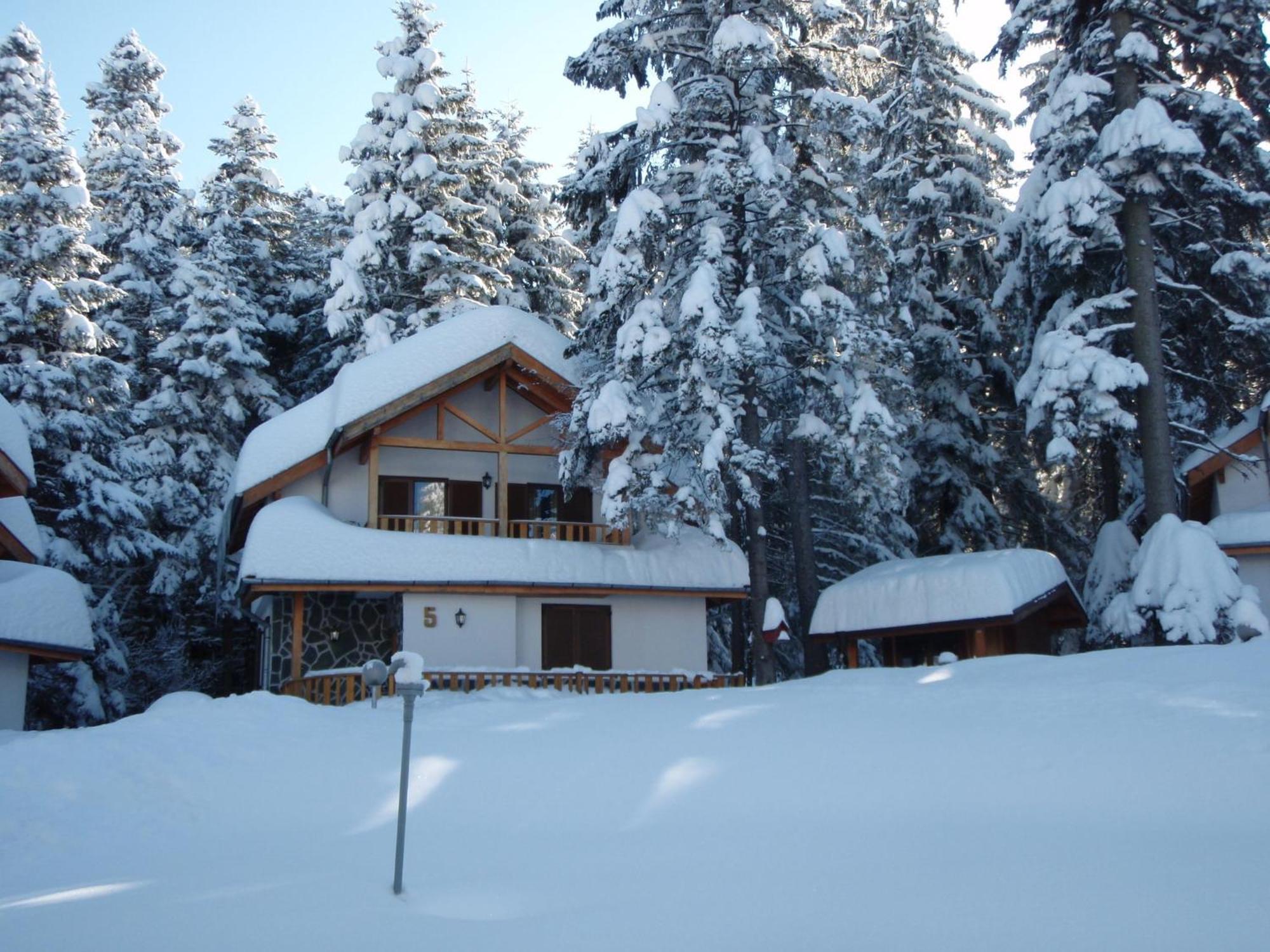 Saint George Holiday Village Borovets Eksteriør billede