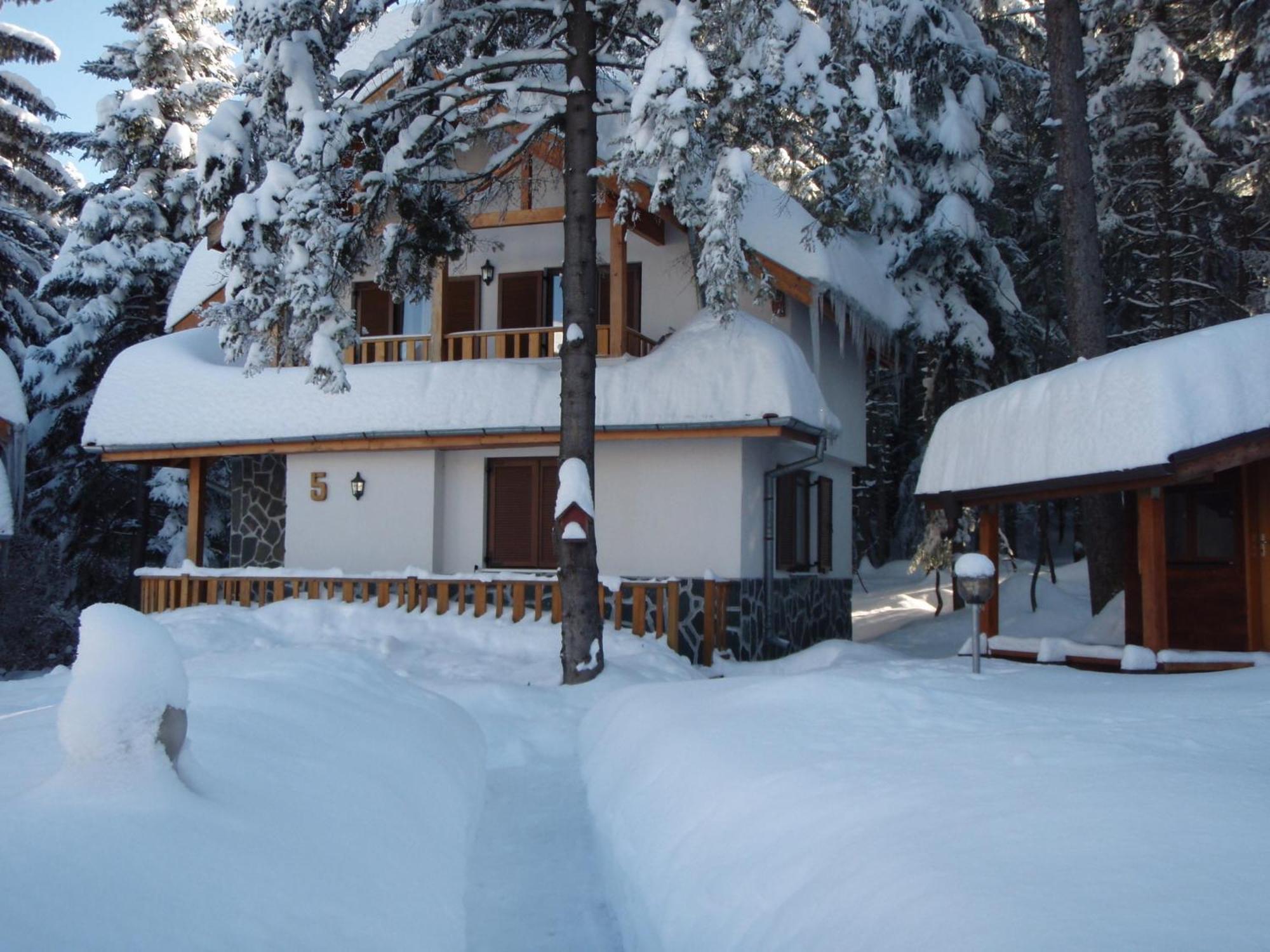 Saint George Holiday Village Borovets Eksteriør billede