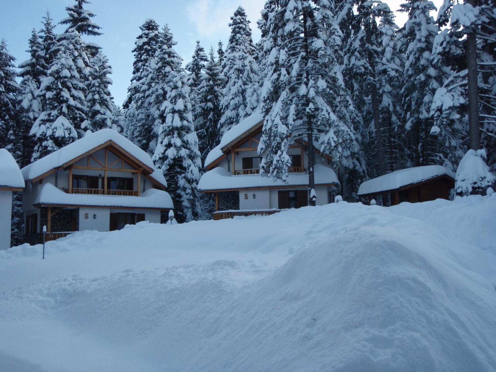 Saint George Holiday Village Borovets Eksteriør billede