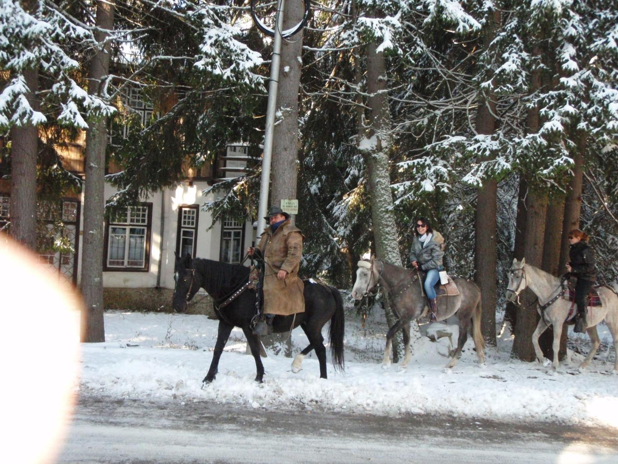 Saint George Holiday Village Borovets Eksteriør billede